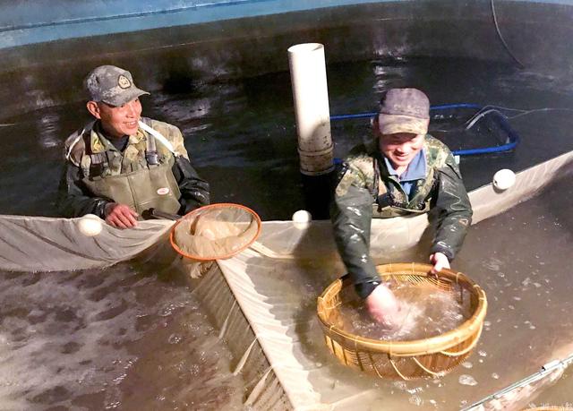 不误农时不负春  武汉蔡甸护航“水产”稳增收