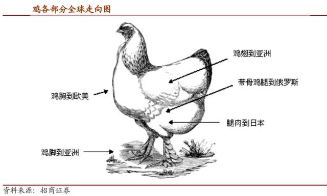 一文了解白羽肉鸡行业