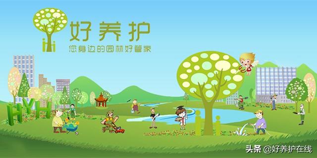 五种会“变色”的花，你见过几种？