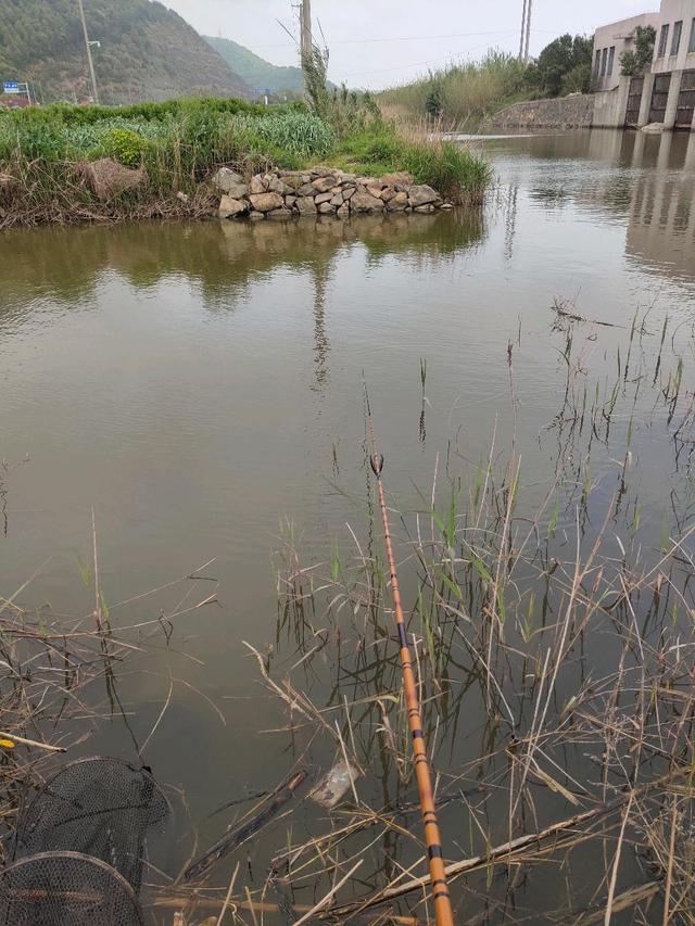 宁波这个钓点太酷了！不光能钓海鱼、淡水鱼还有沙滩、红桥与风车