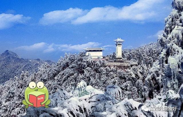 你们的“旅行青蛙”正在江西赏雪呢，快来江西把它领回家吧！