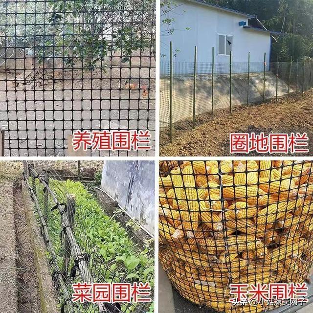 新型养殖围栏网-养鸡鸭鹅塑料网