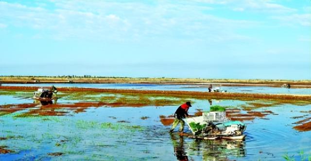 新疆3000亩盐碱地成海水养殖基地：揭秘全面封锁日本水产的底气