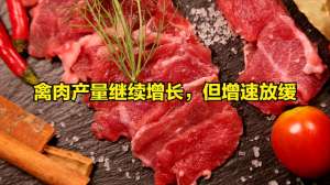 欧盟肉牛养殖行业发展(2022年全球肉类市场趋势分析及2023年展望（禽肉牛肉）)