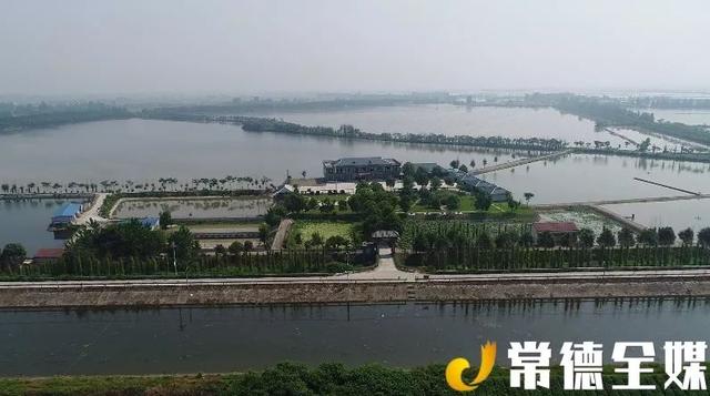 常德“鳄鱼岛”：赏美景、品美食的好地方