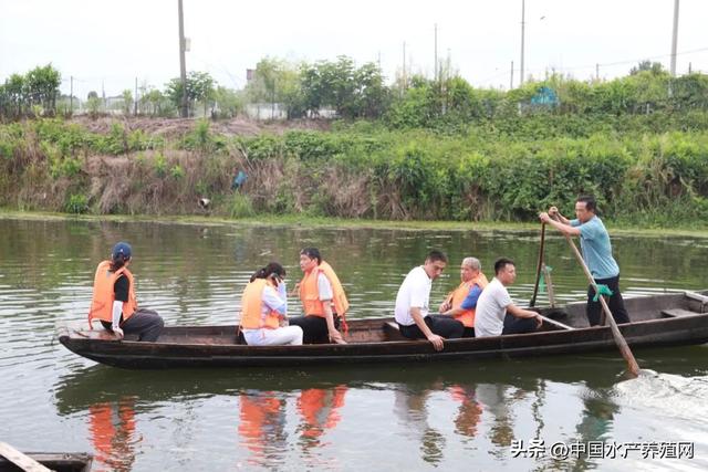 产业振兴， 良种先行！2023河蟹良种培育和绿色养殖调研正式开启