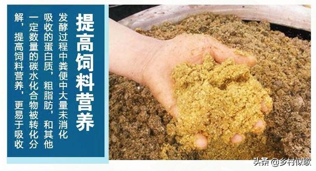 生态养猪是时代发展的必然要求！那么鸡粪是如何成为猪饲料的呢？