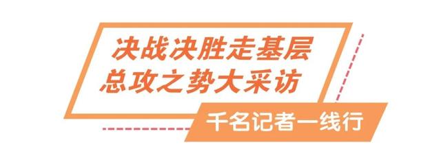 大山村靠山吃山！引进奶水牛养殖项目，发展集体经济