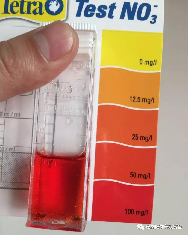 饲养淡水鱼水质七大指标