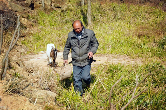 男子隐居深山5年，造10000余米围栏“圈”山养羊，看生活成啥样子