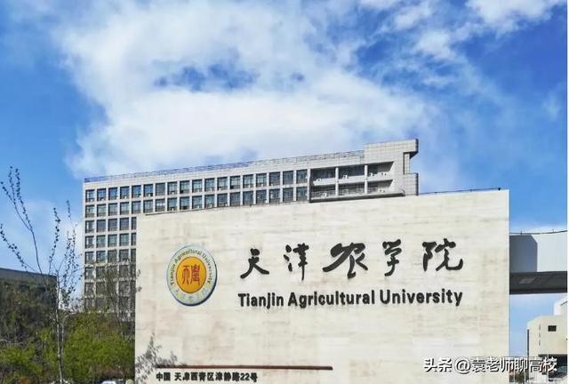 天津农学院、天津职业技术师范大学和天津中德应用技术大学谁强？