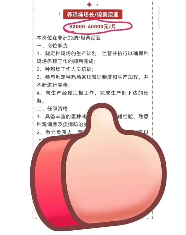 企业月薪4万招人去非洲养鸡，网友表示有点心动