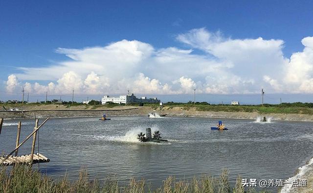 水产养殖水质调控五法，夏秋天气多变加强巡塘