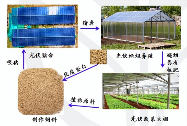 种养循环新模式丨光伏电站能为养殖场带来长达25年额外发电收益