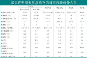 养殖野兔技术(养兔技术｜按家兔的饲养标准结合饲料资源进行科学养兔)