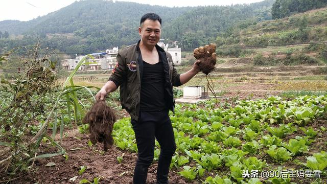 在地里挖了一个像脚板样的苕，今天拿它做晚餐，你吃过这个吗？