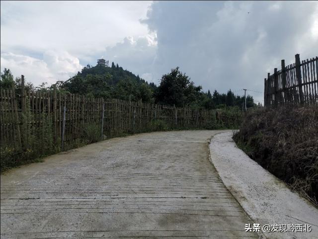 织金少普海布坡鸵鸟养殖基地看鸵鸟，最后花200块钱买个鸵鸟蛋