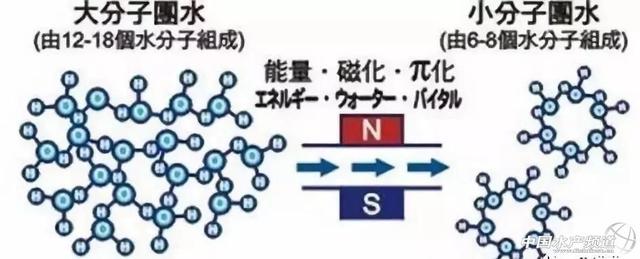 高塘租倒逼高产量！加州鲈养殖密度越高更应该升级增氧技术！