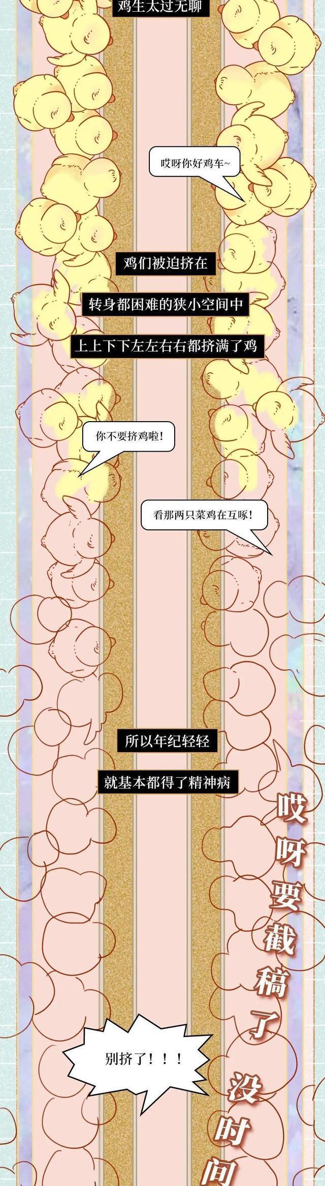 45天出栏的速成鸡，有大量激素，而且还致癌吗？漫画科普