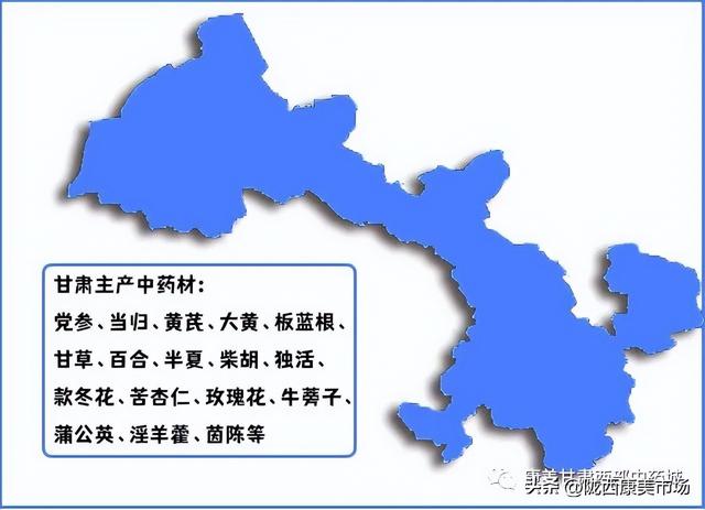 2022年甘肃产地部分中药材盘点