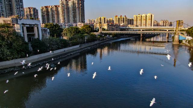 鸟飞鱼跃水草丰，水清岸绿游人来