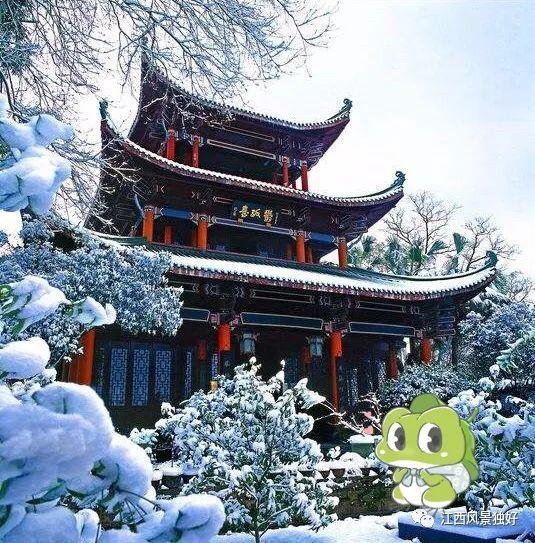 你们的“旅行青蛙”正在江西赏雪呢，快来江西把它领回家吧！