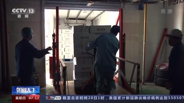 “鲜”行天下！年均增幅超20% 冷链物流正一步步“热”起来