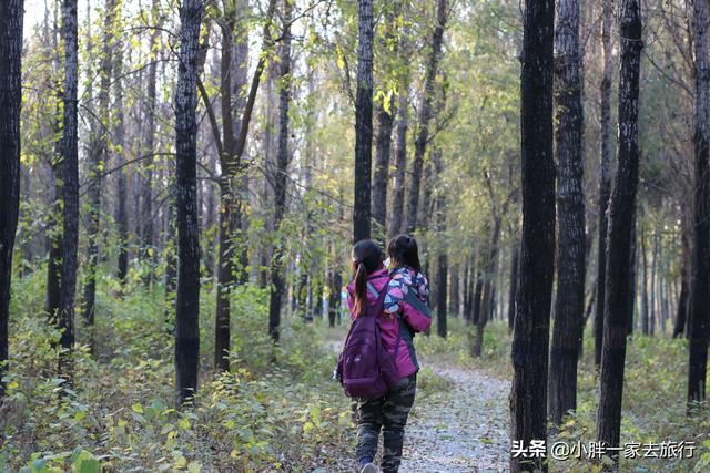 与动物零距离接触的快乐之旅 北京大兴野生动物园攻略（二）