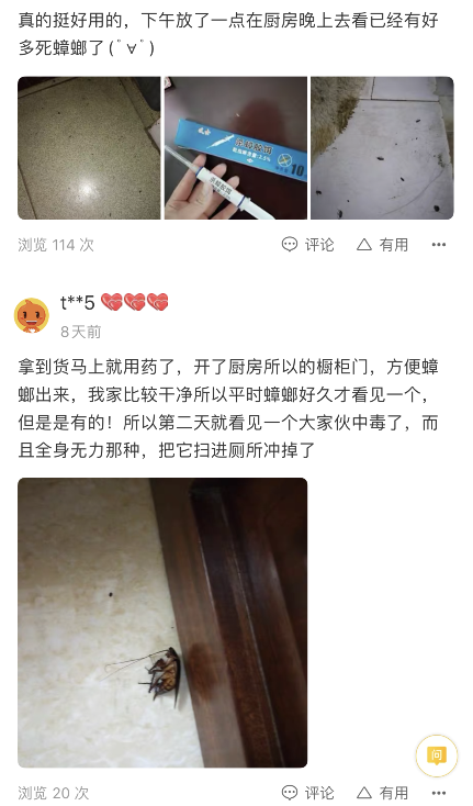 蟑螂最怕它，把它放在墙角，蟑螂来一只死一只，一晚上就能灭干净