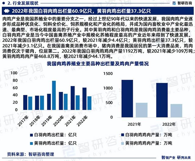 《2023版中国肉鸡养殖行业市场分析研究报告》—智研咨询发布