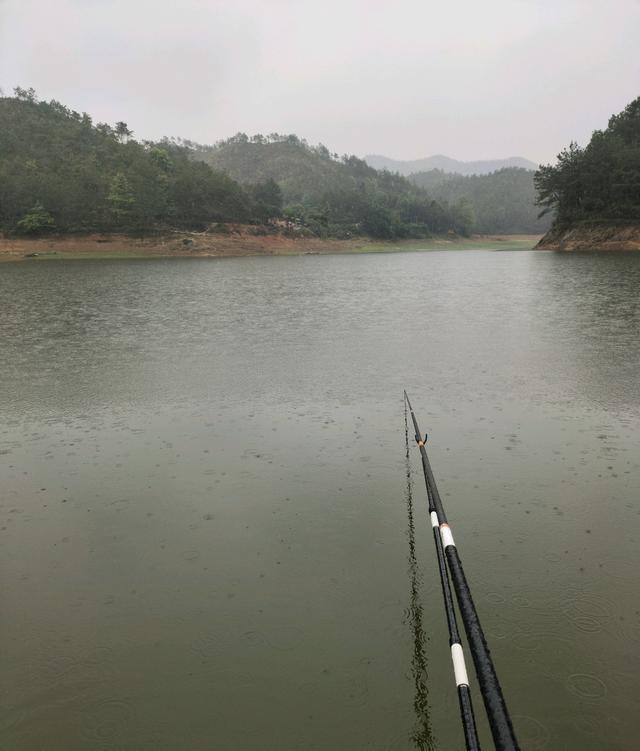 江西钓鱼人水库钓获罕见老鳜鱼，钓鱼人：它吃餐条撞上来了