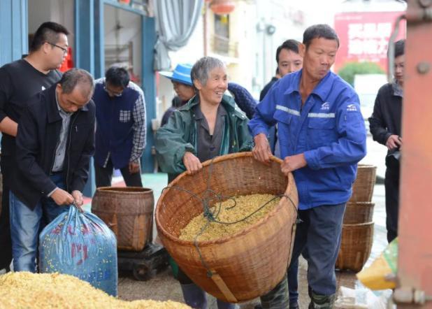 中国桂花城建设如何插上文化的翅膀？专家们这样说