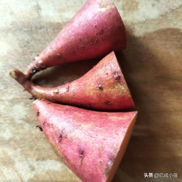 这是什么绿植呢？如此任性倔强地生长……