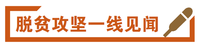 中科院科技扶贫让乡村更美｜脱贫攻坚一线见闻