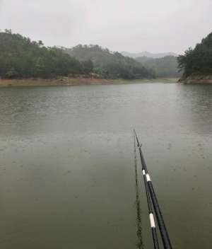 水库养殖鳜鱼(江西钓鱼人水库钓获罕见老鳜鱼，钓鱼人：它吃餐条撞上来了)