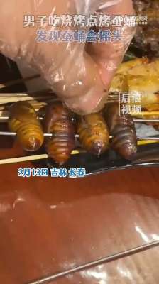 蝉蛹人工养殖视频(男子吃烧烤点烤蚕蛹发现蚕蛹会“摇头”，店家：上错了，蚕蛹还没烤)