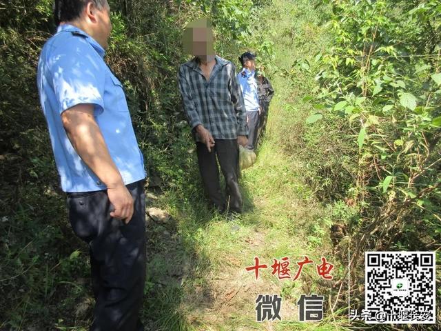 山羊频繁受伤，十堰一地“提起萝卜带出瓜”，狩猎案告破