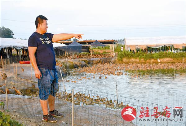 天中丰收季 欢乐田野颂