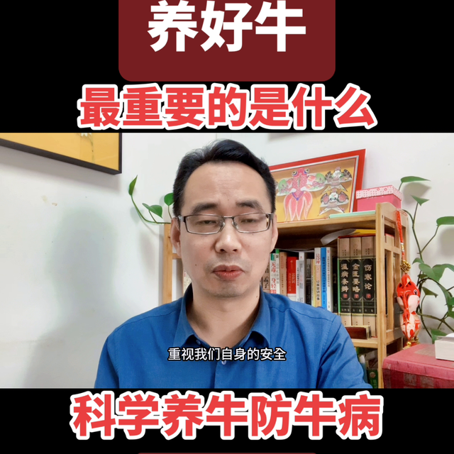 养好牛最重要的是什么？人的安全是前提！#宠物知识