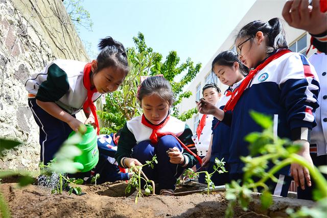 山东青岛：种植活动进校园 农耕劳动伴成长