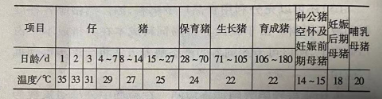 现代化养殖技术：在养猪中限位饲养机械化的应用