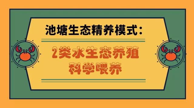 塘蟹养得赛湖蟹，还上过央视！“诺亚方舟”，你是怎么做到的？