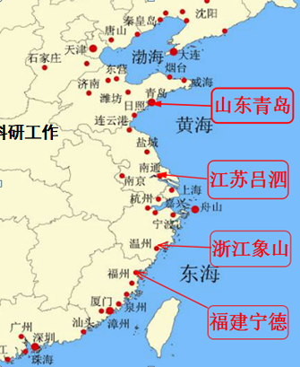 浙江突破小黄鱼人工养殖技术 以后休渔期也能吃上