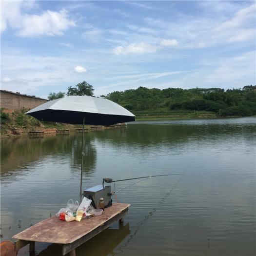 原来鲮鱼要这样钓，两小时狂拉三条大家伙