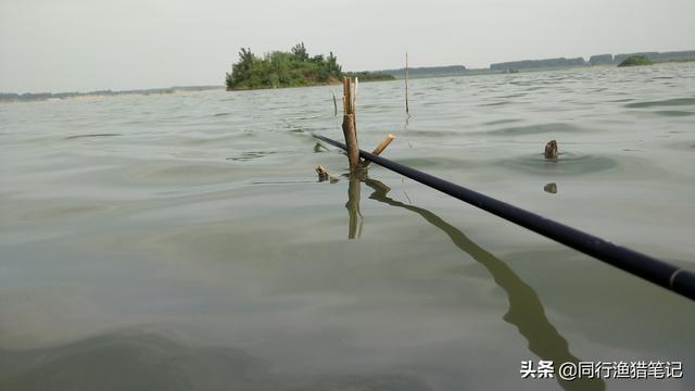 中元节野钓鱼口爱翻脸：太阳升，鱼口松，超过十点半急死老渔翁