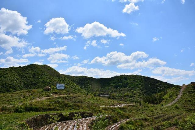 以岭药业中药扶贫新模式：荒山绿了 药材有了 农民增收了