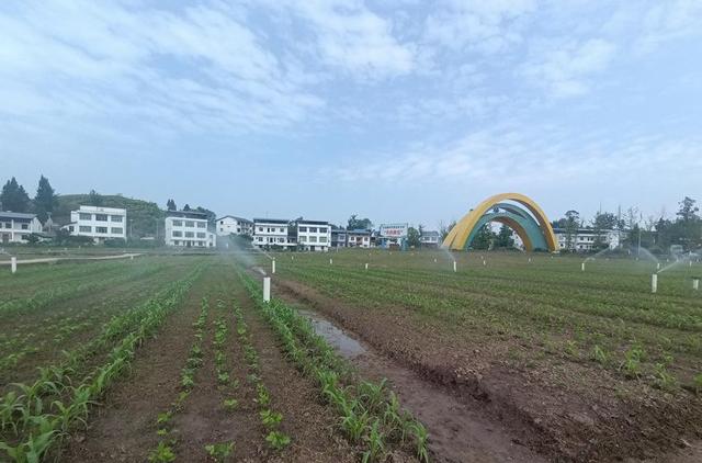 四川达州：10万亩园区里的好“风景”