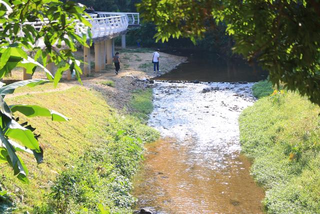 鸟飞鱼跃水草丰，水清岸绿游人来