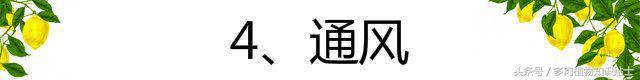 仙人球养护全攻略，听听大神教你如何养