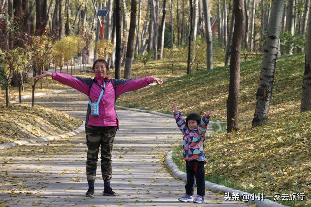 与动物零距离接触的快乐之旅 北京大兴野生动物园攻略（二）